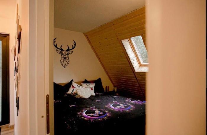 Villa Zenith A-Frame Straja Lupeni  Esterno foto